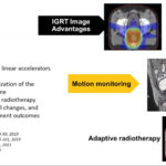 View AFOMP School 17th Webinar on June 14, 2025 !